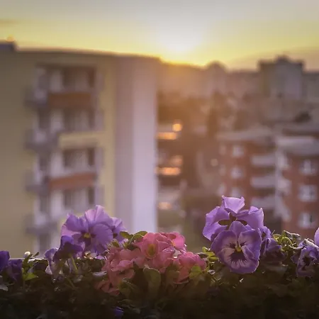 A Place To