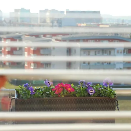 A Place To 프라하